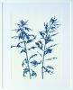 Woodland Path: 24 x 18" unframed cyanotype painting | Mixed Media in Paintings by Christine So | Thomas Deans Fine Art in Atlanta