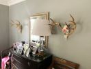 Hand-Painted Deer Skuls | Wall Sculpture in Wall Hangings by Cassandra Smith