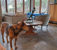 Dana-Rose | Sculptures by Jackie Braitman. Item made of bronze