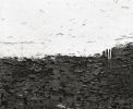 Black and White Large Format Photography | Photography by Christina Stafford of Stafford Gallery. Item composed of paper