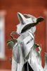WALKING WATCHER CARRYING the CHILDREN | Public Sculptures by jim collins sculpture