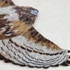 Mosaic hawk wall hanging | Wall Sculpture in Wall Hangings by Julia Gorbunova