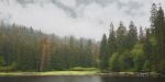 Peaceful Passage | Wall Treatments by Jay Mason. Item made of aluminum