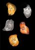 Pathos Flowers | Sconces by F+M FOS - Anna Maria Fragiskos Bitros. Item composed of aluminum and glass
