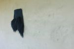 Seed No.062: Deep Encounters | Tapestry in Wall Hangings by Taiana | Santa Barbara in Santa Barbara. Item made of fabric with fiber