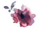 Floral No. 28 : Original Watercolor Painting | Paintings by Elizabeth Becker. Item made of paper works with boho & minimalism style