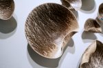 Wall Sculpture, 30 Pieces Set, Obvara Finish, Porcelain | Wall Hangings by SevaCeramics. Item composed of ceramic