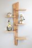 Moderne 5 | Shelving in Storage by Jim Thellefsen Design