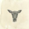 Deer  Drawing | Drawings by Meagan Donegan. Item composed of paper