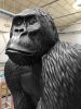 "Big Gorilla" | Street Murals by MARCANTONIO. Item composed of glass and synthetic