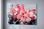 Pink Columbine Fantasy - Print on Metal | Prints by Amber Lamoreaux Art. Item made of metal compatible with boho and contemporary style
