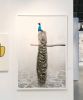Patience Peacock | Prints by Alice Zilberberg | Los Angeles Convention Center in Los Angeles. Item made of paper