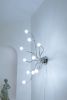 Anemone Lamp | Lamps by Vincent Decat. Item made of steel works with contemporary style