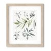 Olive Botanical Study Assemblage (Pair) Art Prints | Prints by Jennifer Lorton Art. Item made of paper works with contemporary & country & farmhouse style