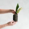 Arched Bud Vase in Textured Earthen Brown Concrete | Vases & Vessels by Carolyn Powers Designs. Item made of concrete with glass works with minimalism & contemporary style