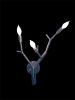 NewGROWTH Sconce | Sconces by CP Lighting. Item made of aluminum works with boho & contemporary style