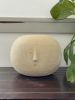 Ample Adam | Ornament in Decorative Objects by Kristina Kotlier. Item composed of stoneware