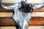 Antiqued Cow Skull | Ornament in Decorative Objects by Gypsy Mountain Skulls. Item works with contemporary & country & farmhouse style