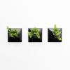 Node S Wall Planter, 6" Modern Plant Wall Set, Black | Plant Hanger in Plants & Landscape by Pandemic Design Studio. Item made of stoneware works with minimalism & mid century modern style