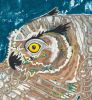 Sky Tiger- sold | Oil And Acrylic Painting in Paintings by L Rowland Contemporary Art. Item made of wood with synthetic