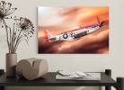 Warbird | Photography by Rick Szczechowski Photography Inc.. Item composed of metal