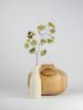 Nesto - basso | Vase in Vases & Vessels by gumdesign. Item made of walnut & marble compatible with modern style