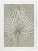Nobilis Palm - 1 & 2 & 3 - Grey Green - Framed Art | Prints by Patricia Braune. Item composed of paper