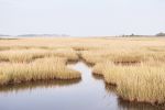 New England coastal wall art, 'Salt Marsh' landscape photo | Photography by PappasBland. Item composed of paper in contemporary or coastal style