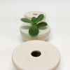 Ceramic Bud Vases | Vases & Vessels by Zuzana Licko. Item made of ceramic