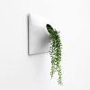 Node M Wall Planter, 9" Mid Century Modern Planter, White | Plant Hanger in Plants & Landscape by Pandemic Design Studio. Item composed of stoneware in minimalism or mid century modern style