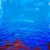 LA MER XV | Photography by Sven Pfrommer. Item made of glass
