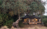 Studio Stirling Nest Eggs at Chikwenya Camp in Zimbabwe | Swing Chair in Chairs by Studio Stirling. Item made of steel works with minimalism & coastal style
