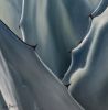 'Shades of Agave' Original Oil Painting | Oil And Acrylic Painting in Paintings by Jenny Stewart's Fine Art. Item composed of canvas in minimalism or contemporary style