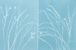 Iris in the Mist Diptych (two 24 x 18" gray cyanotypes) | Photography by Christine So. Item composed of paper in boho or contemporary style