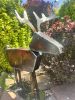 Davis the Deer | Sculptures by Gatski Metal. Item composed of steel compatible with country & farmhouse and eclectic & maximalism style