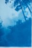 Morning Mist (35 x 23" hand-printed cyanotype, ed. 1 of 3) | Photography by Christine So. Item composed of paper in country & farmhouse or rustic style