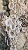 Commission Large textile wall sculpture -SAVANNA | Tapestry in Wall Hangings by Anna Baranova Art. Item made of cotton with fiber works with contemporary & modern style