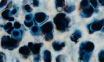 'OCELLUS III' - Luxury Epoxy Resin Abstract Artwork | Mixed Media by Christina Twomey Art + Design. Item composed of synthetic