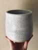 Speckled Vase | Vases & Vessels by Fig Tree Pots
