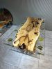 Clear Epoxy Resin Table Top - Live Edge Epoxy Table | Dining Table in Tables by Tinella Collection. Item made of walnut with metal works with contemporary & art deco style