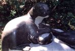 Otters | Public Sculptures by Jim Sardonis. Item composed of granite