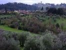 Boboli Garden Landscape | Photography by DCobble. Item composed of birch wood