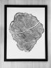 Huge Black Locust Tree | Prints by Erik Linton. Item composed of paper