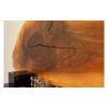 Wood Slab Speaker | Wall Sculpture in Wall Hangings by Andrew J Studios | Our Lady of Perpetual Motion in Fruita. Item made of wood works with mid century modern & contemporary style