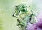 Elegant feathers in green and purple | Oil And Acrylic Painting in Paintings by Irena Orlov | Private Residence / Los Angeles, CA in Los Angeles. Item composed of canvas