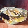 Beaver Skull, Winter Light In Handmade Burl Wood Frame | Mixed Media in Paintings by Catherine Twomey