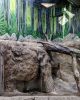 Riverbanks Zoo & Garden - Tropical Snake Habitats | Murals by Christine Crawford | Christine Creates | Riverbanks Zoo & Garden in Columbia