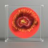 Identity Journey Collection | Decorative Box in Decorative Objects by Wall Art Object by Betti Brillembourg