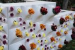 Node Wall Planter Living Wall Bar Greenwall | Vases & Vessels by Pandemic Design Studio | Philadelphia in Philadelphia. Item made of ceramic
