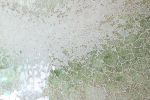 Wind Fragrance | Mixed Media by Chieko Shimizu Fujioka
